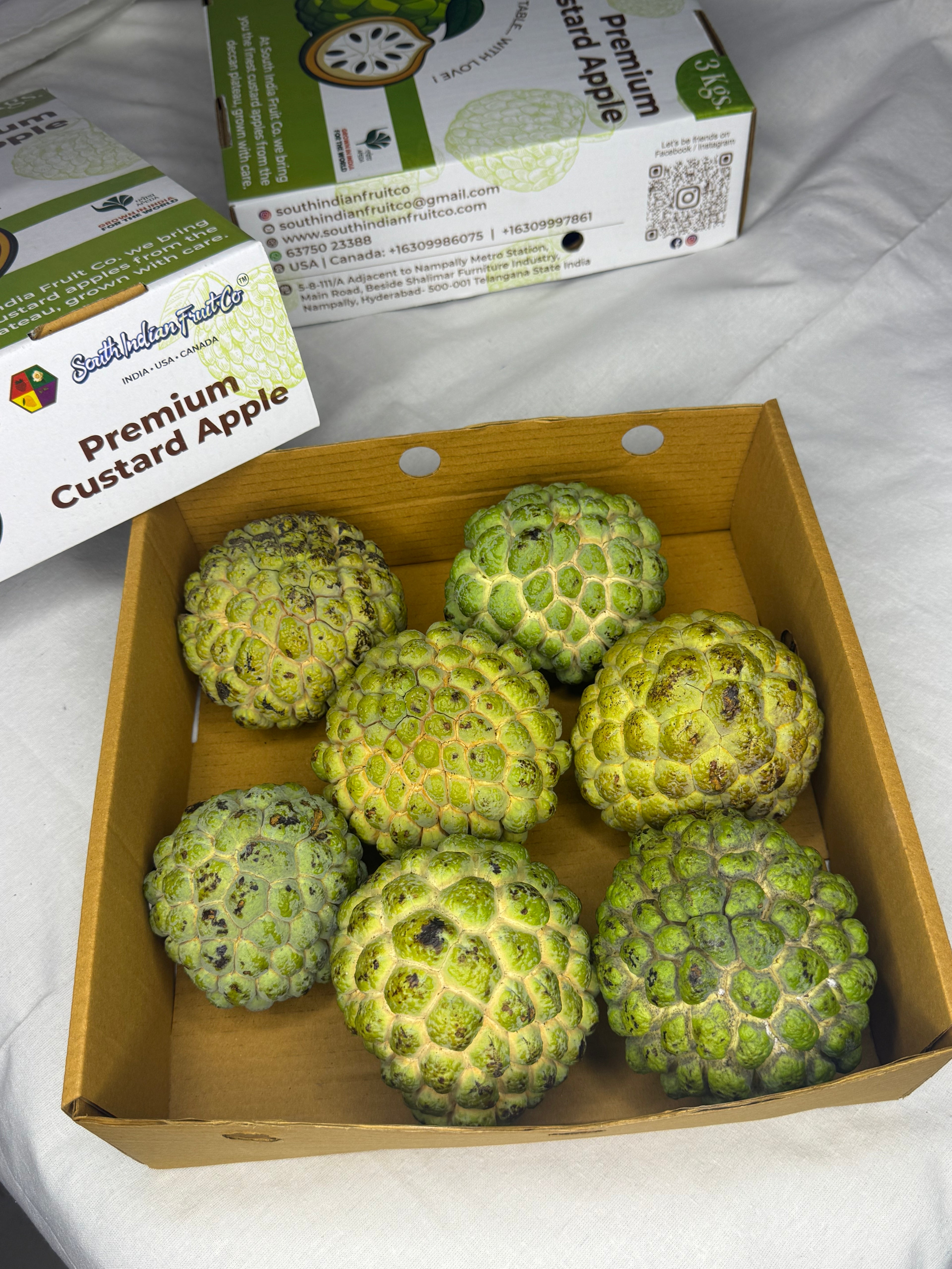 Custard apple (Sitaphal)