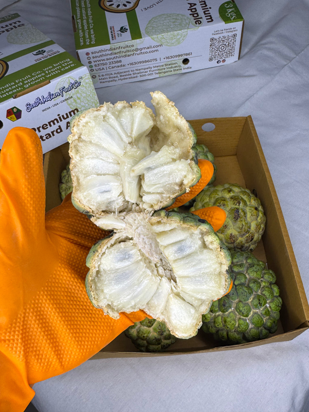 Custard apple (Sitaphal)