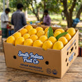 Kesar Mango (Naturally Ripened) - 5 Kgs
